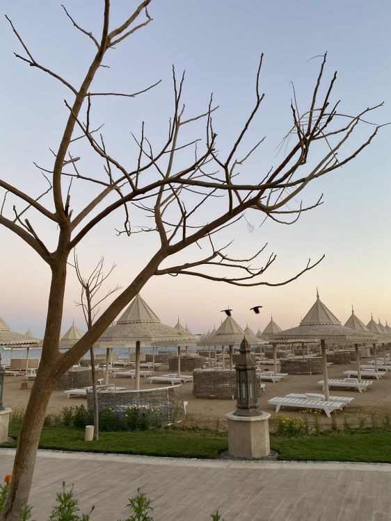 Physique, Sciences, la Journée, Nature, Architecture. Wallpaper in 1536x2048 Resolution