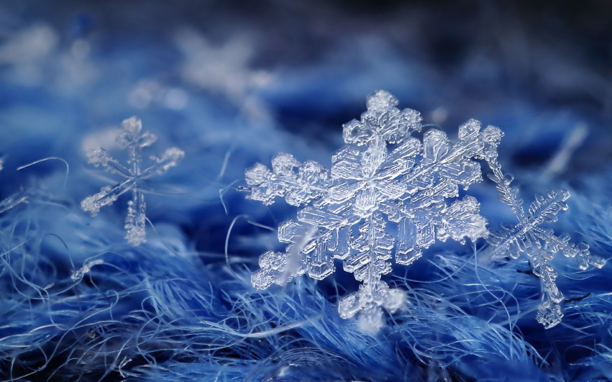 雪花, 树枝, 冻结, 草, 液体 壁纸 3840x2400 允许