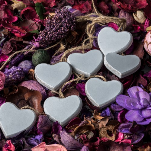 Image heart, purple, petal, heart flowers, lilac