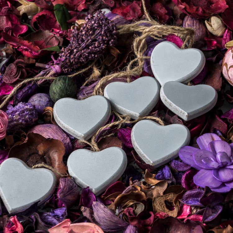 Cœur, Purple, Pétale, Fleurs de Coeur, Lilas. Wallpaper in 3415x3415 Resolution