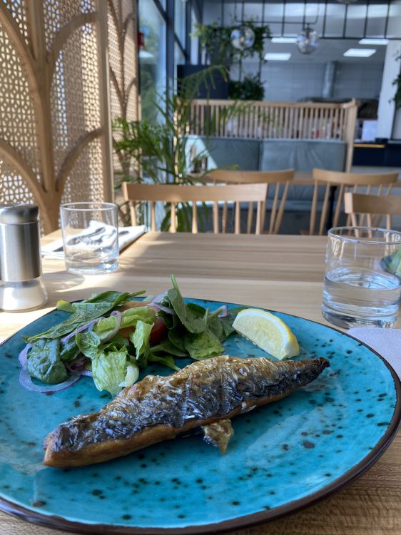 Fisch, Gericht, Wochenendbrunch, Wissenschaft, Biologie. Wallpaper in 1536x2048 Resolution