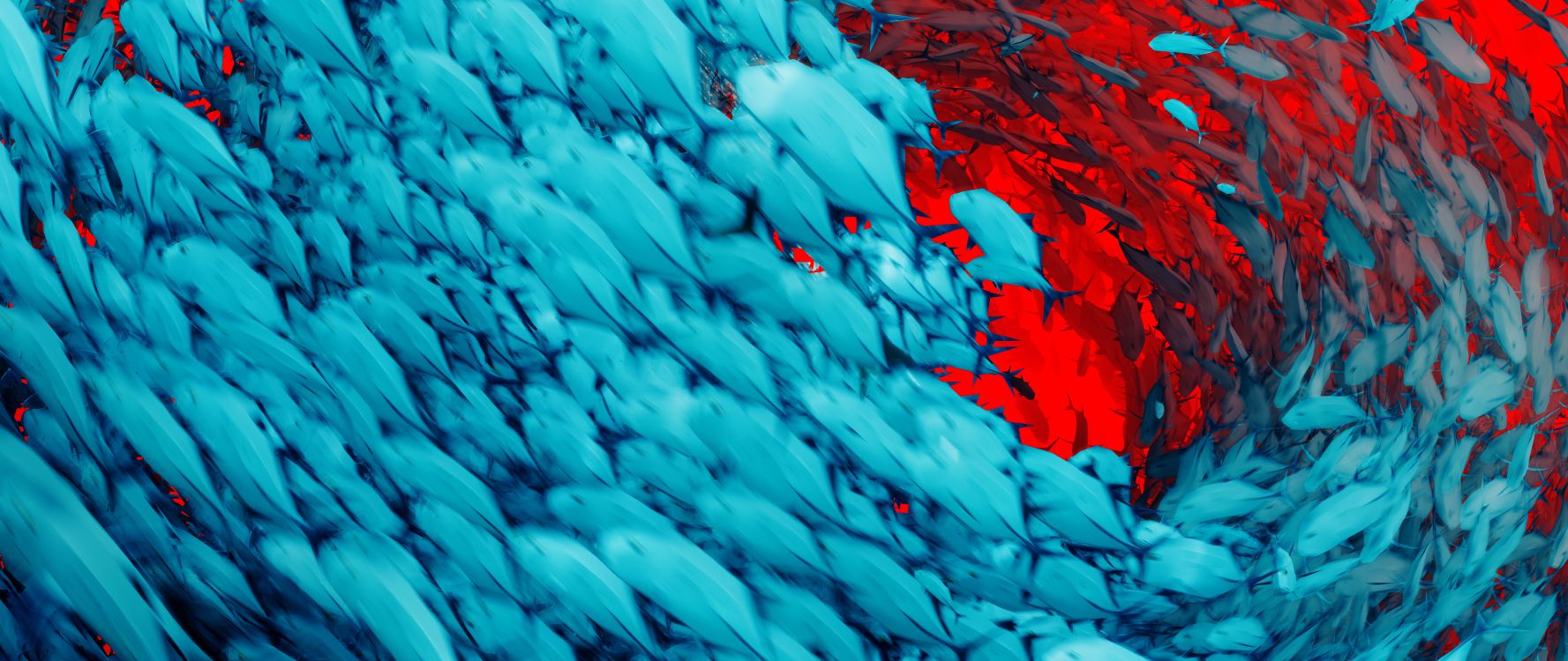 Feuilles Bleues Sur Surface Rouge. Wallpaper in 5120x2160 Resolution