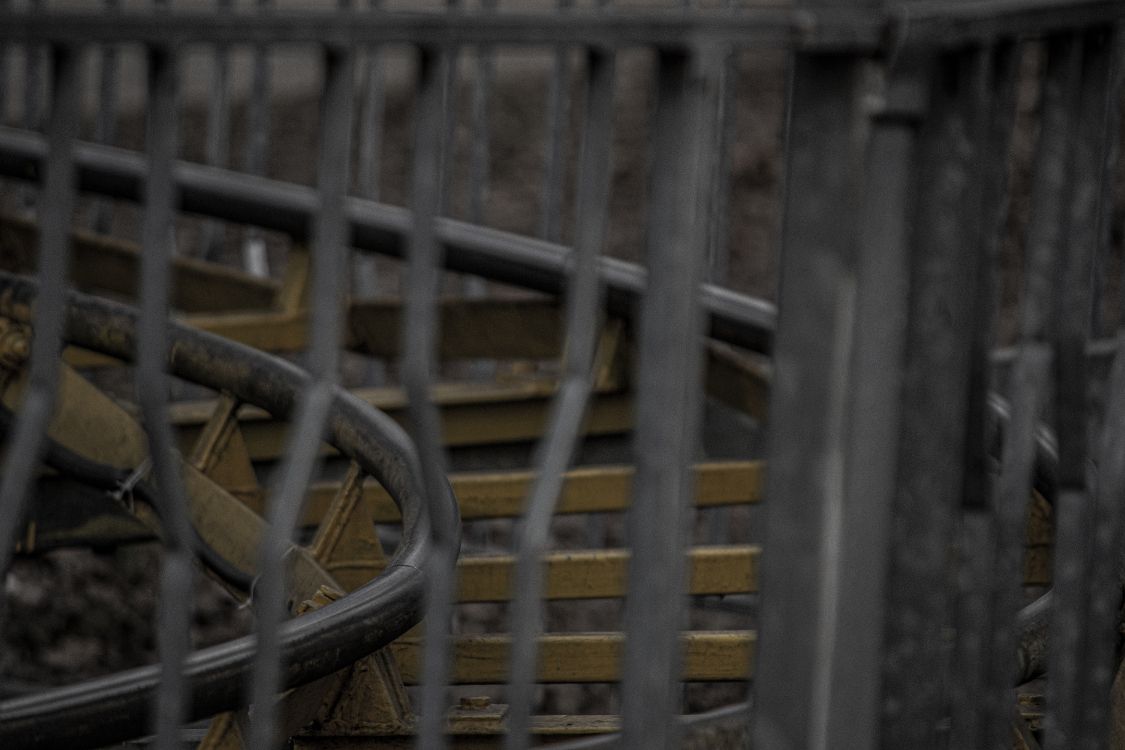 木, 栅栏, 复合材料, 丝围栏 壁纸 6000x4000 允许