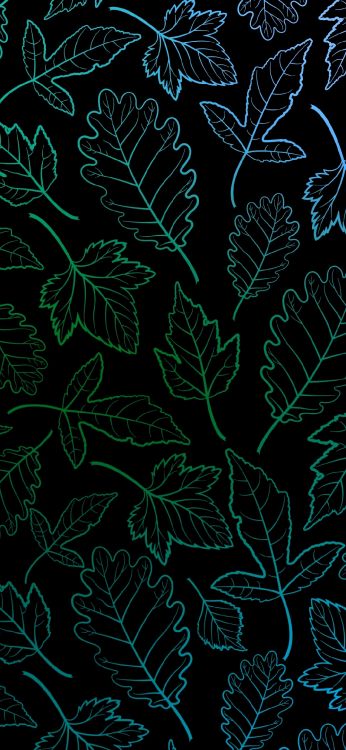 Plante Terrestre, Aqua, Art, Motif, Conception. Wallpaper in 1080x2340 Resolution