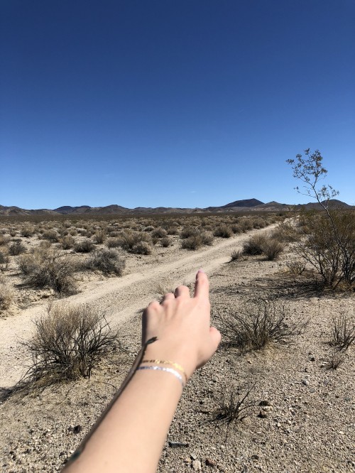 Image usa, Mojave Desert, shrubland, desserts, finger