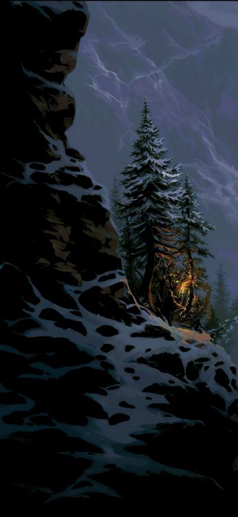 Natur, Wissenschaft, Biologie, Schnee, Branch. Wallpaper in 1440x3120 Resolution