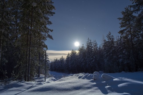 Image snow covered field and trees during daytime