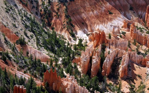 Image brown and green trees on brown rocky mountain during daytime