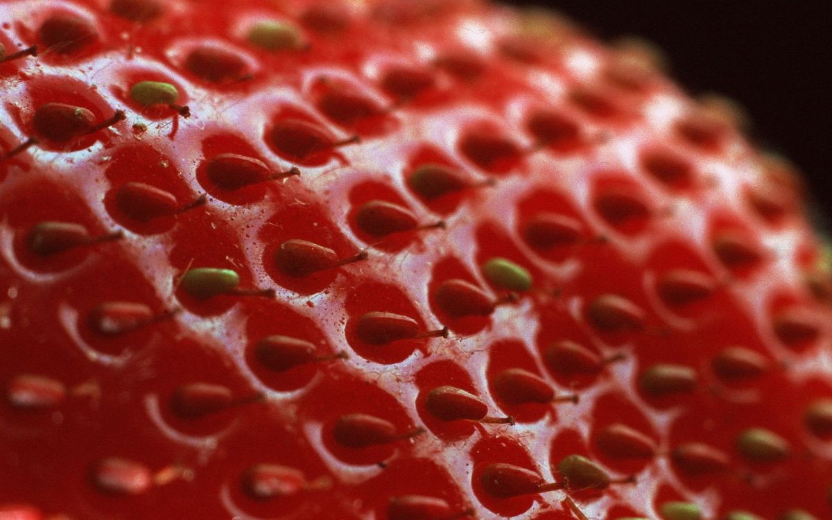 red strawberries in close up photography