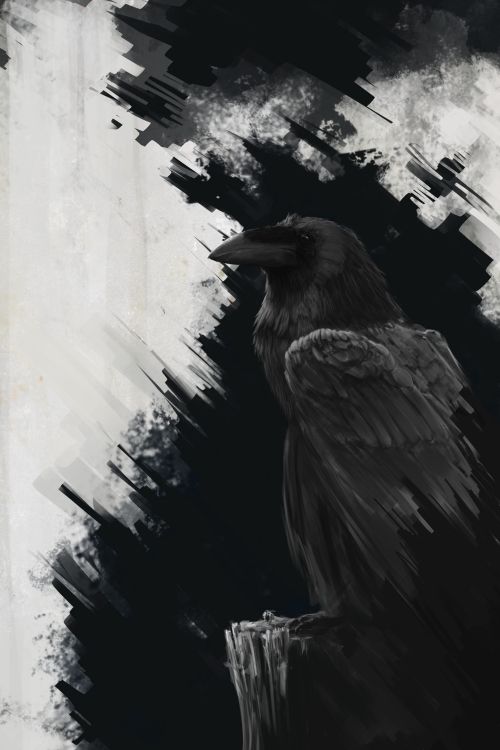 Black Bird on Tree Branch Painting. Wallpaper in 2500x3750 Resolution
