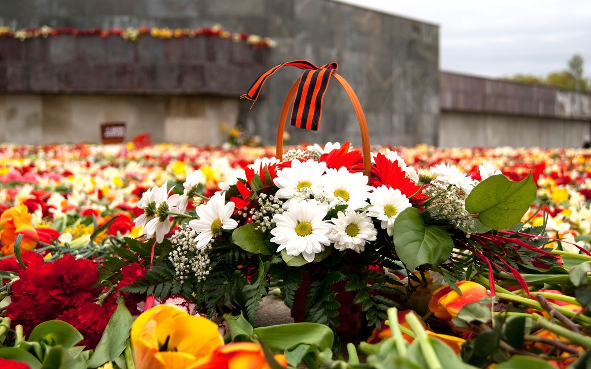 Victory Day, may 9, flower, floristry, plant