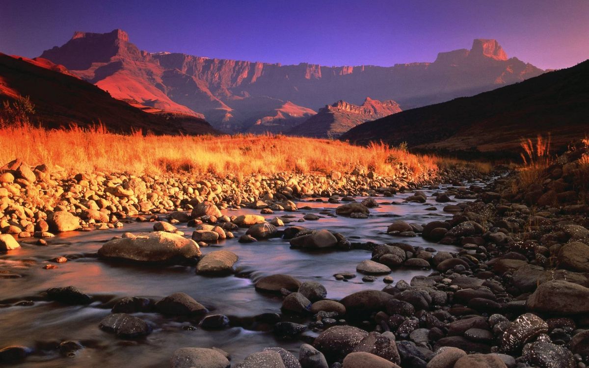 brown and gray rocks on river