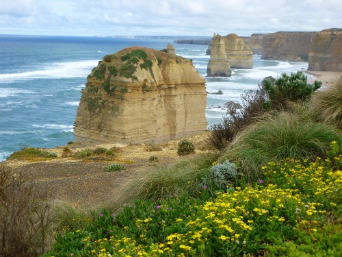 Image yellow flower near brown rock formation and body of water during daytime