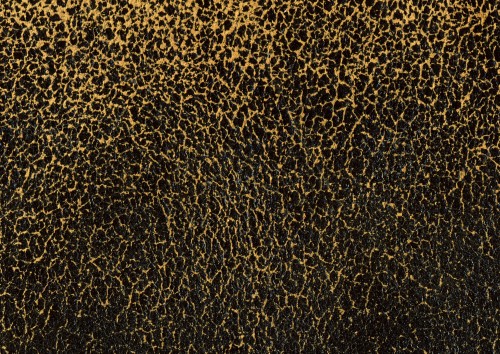 Image black and brown leopard pattern