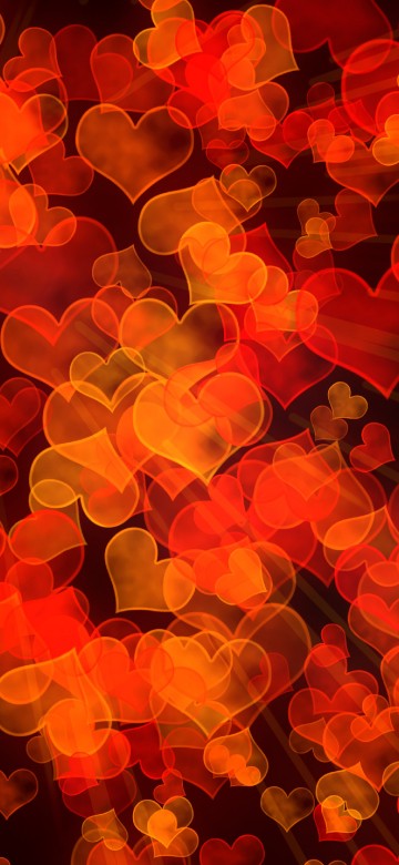 Image orange, heart, yellow, petal, vector graphics