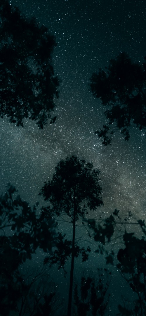 Image cloud, night, atmosphere, world, natural landscape