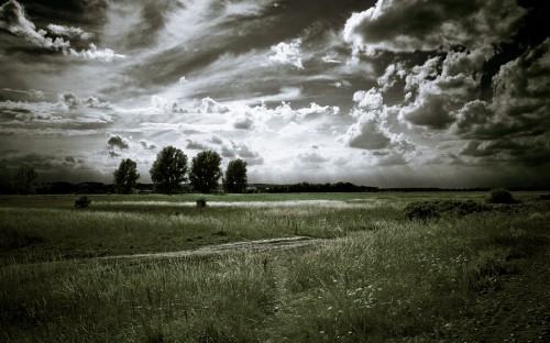 Image green grass field under cloudy sky during daytime