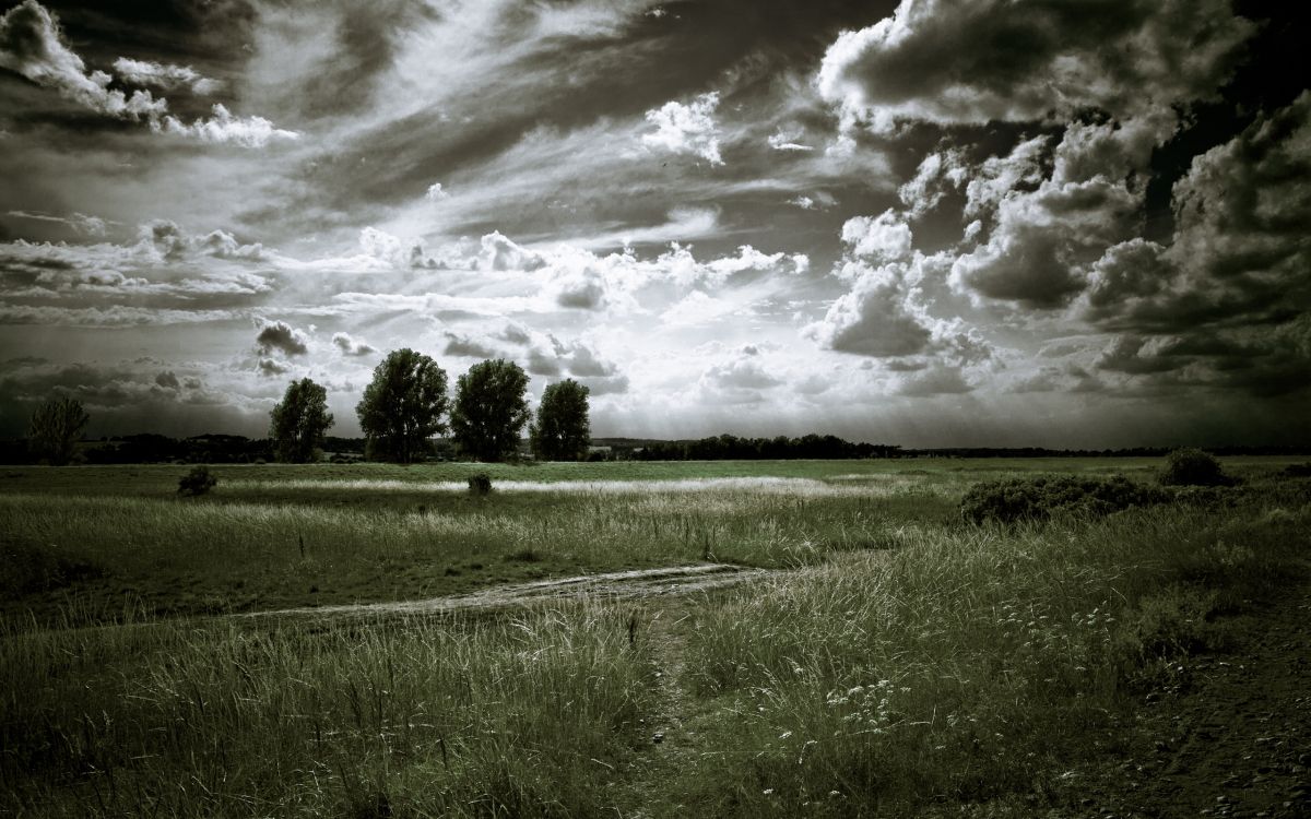 green grass field under cloudy sky during daytime