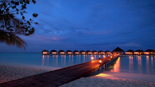 Image brown wooden dock on body of water during night time