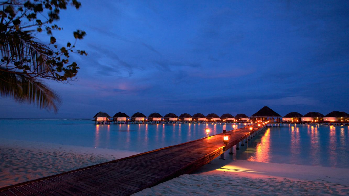 brown wooden dock on body of water during night time