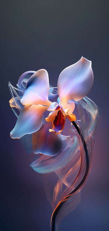 Orchidee, Blütenblatt, Terrestrische Pflanzen, Kunst, Electric Blue. Wallpaper in 1648x3480 Resolution