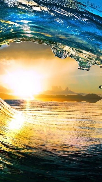 Image body of water during sunset