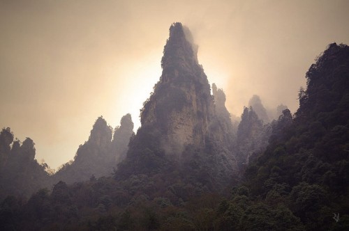 Image green trees on mountain during daytime