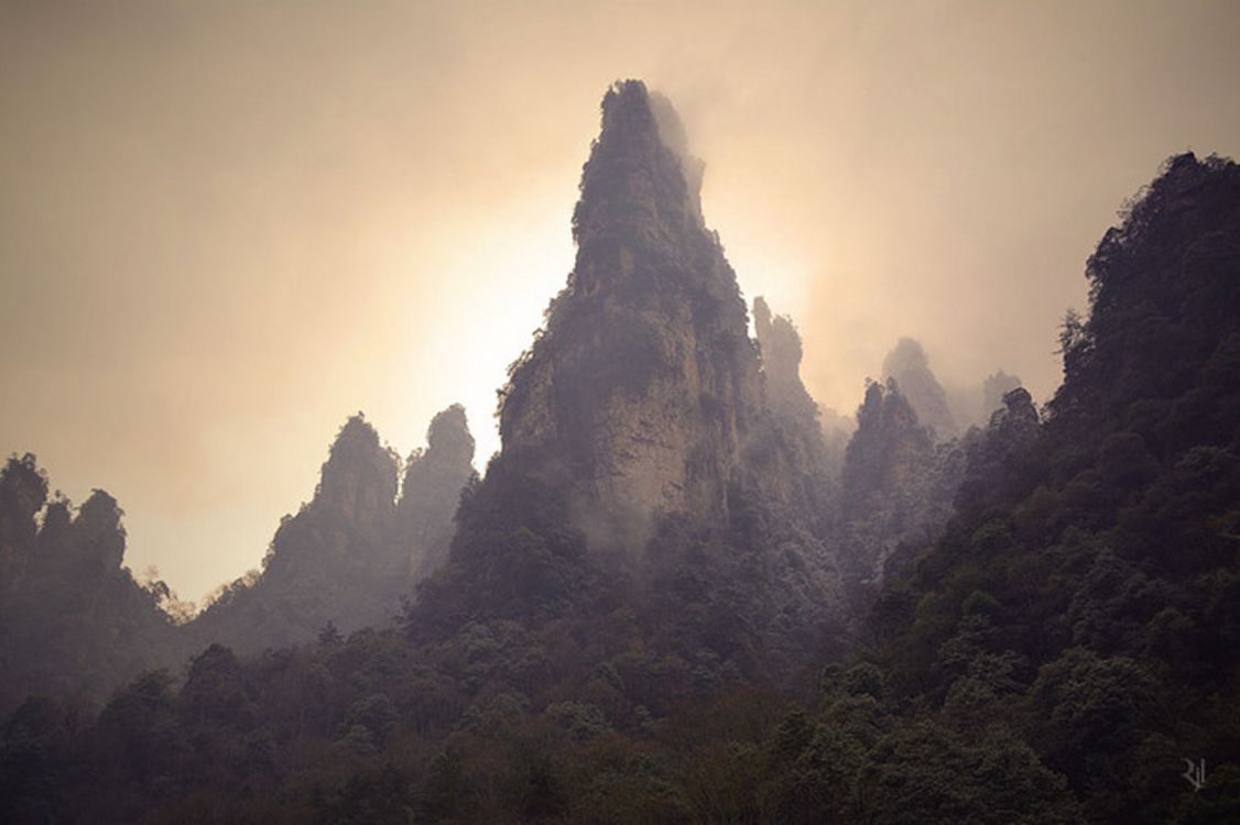 green trees on mountain during daytime