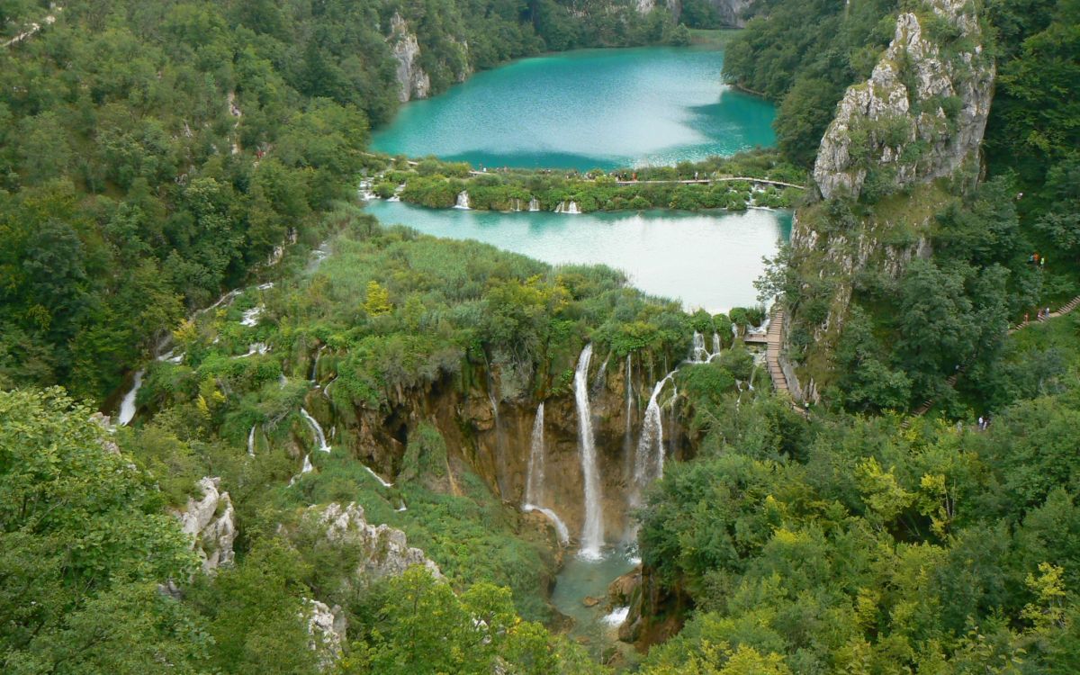 性质, 水资源, 人体内的水, 自然保护区, 植被 壁纸 2560x1600 允许