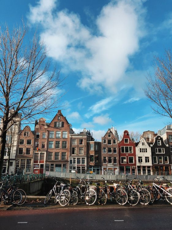 街, 的房子, 街区, 正面, 城市 壁纸 3024x4032 允许