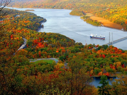 Image white boat on river near green and brown trees during daytime