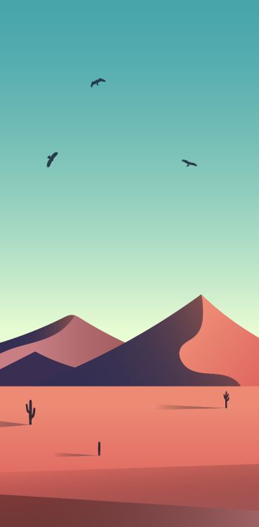 L'écorégion, Oiseau, Pente, ERG, Adaptation. Wallpaper in 2711x5500 Resolution