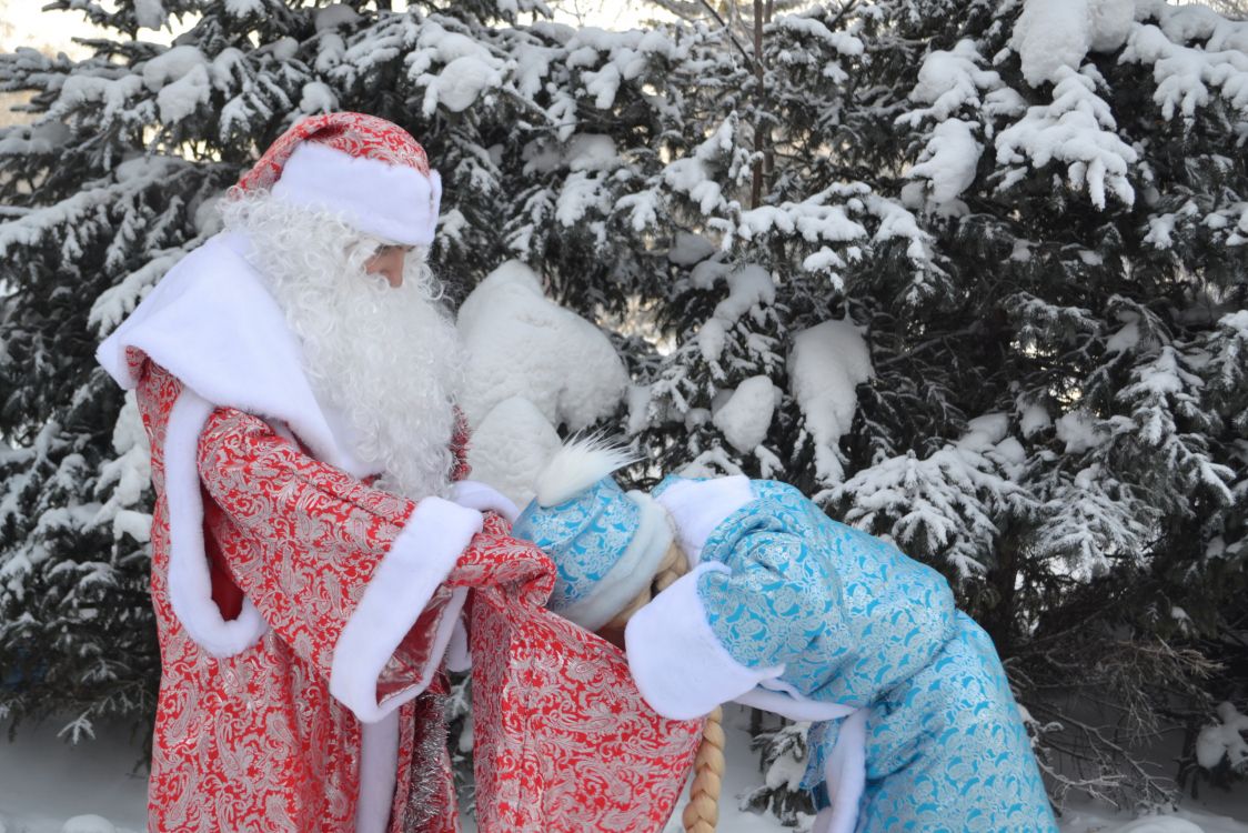 snow, winter, freezing, tree, fun