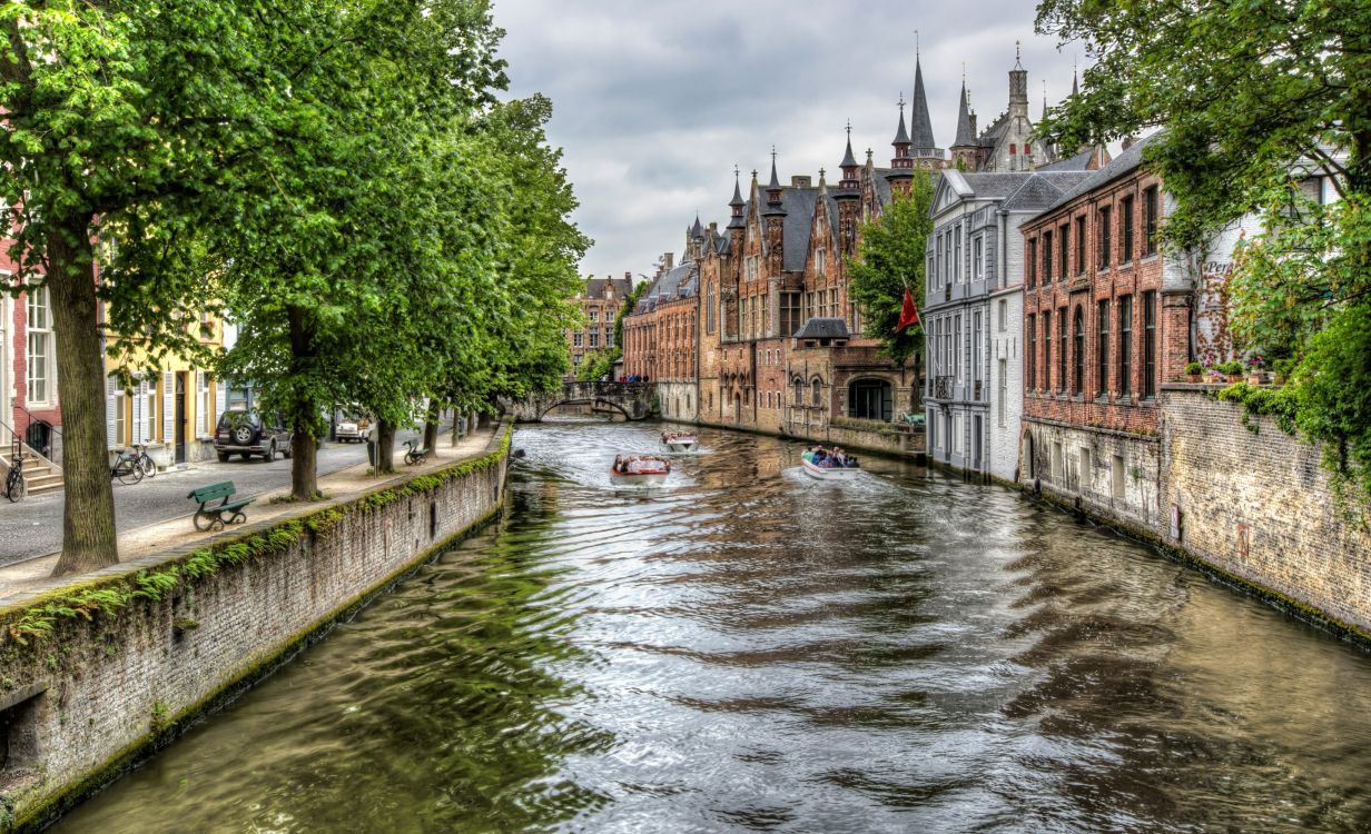 river between green trees and brown concrete building during daytime