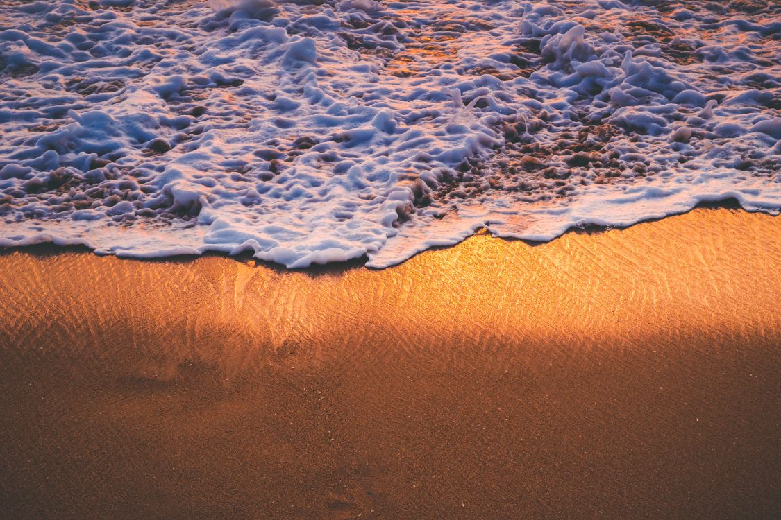 beach, sea, shore, sand, wave