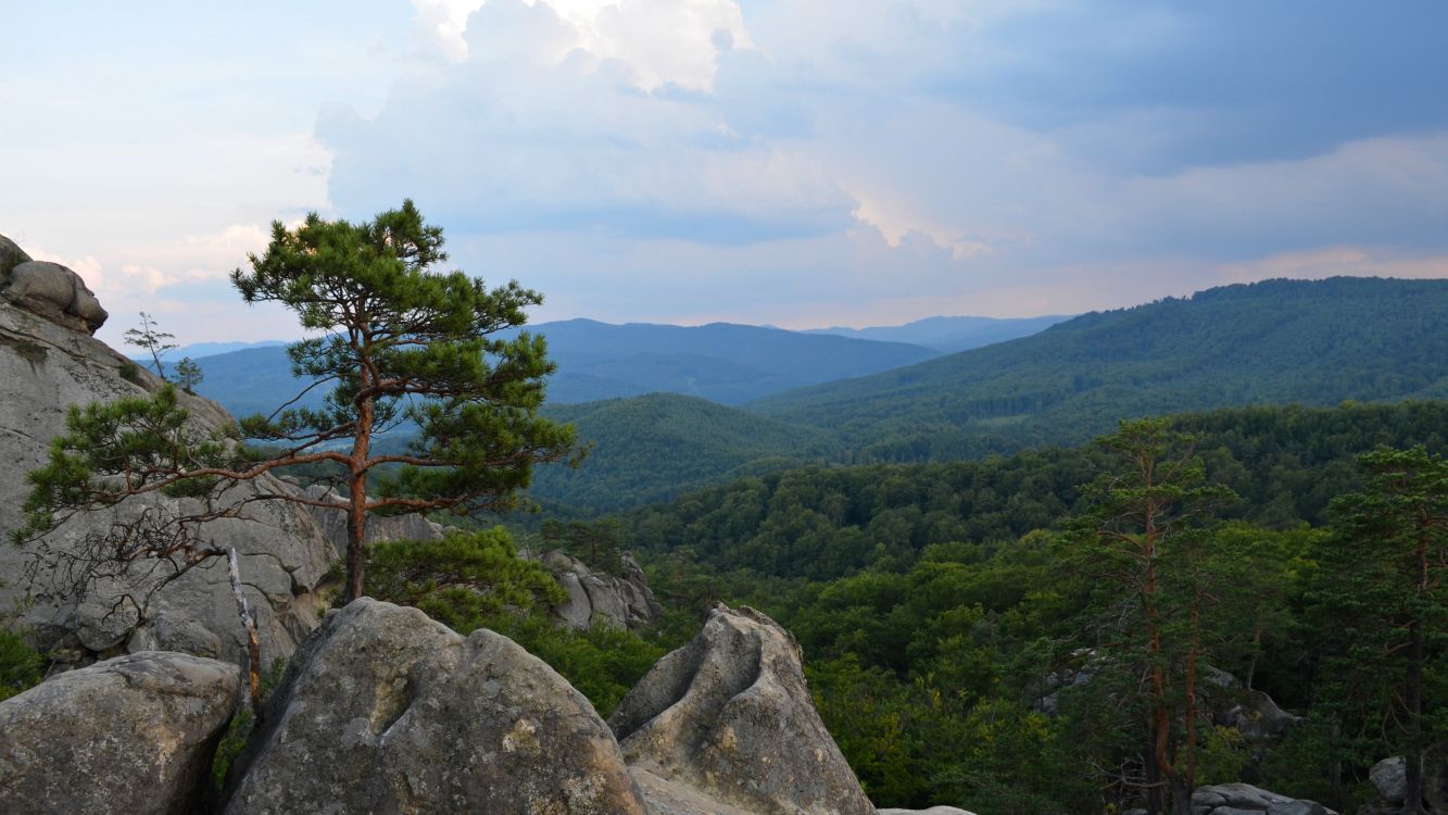 green trees on mountain under white clouds during daytime