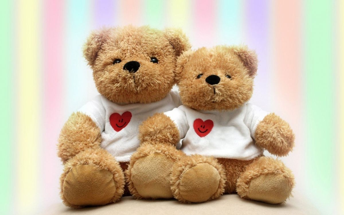 Osito, Peluche de Juguete, Felpa, Oso, Regalo. Wallpaper in 1920x1200 Resolution