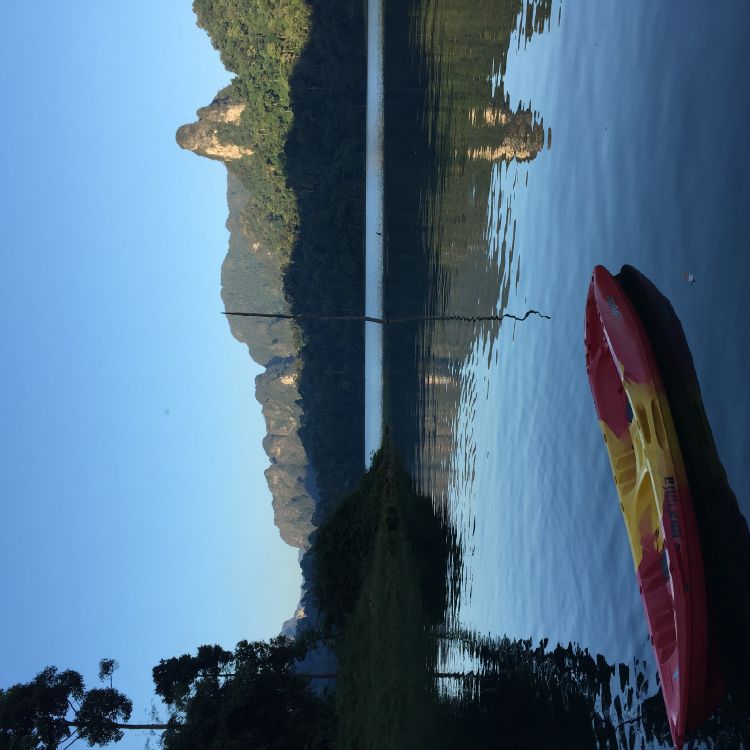 植被, Azure, 阳光, 冷静, 反射 壁纸 2448x2448 允许