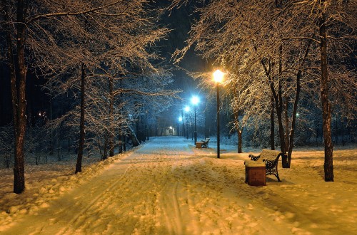 Image brown wooden bench on snow covered ground during night time