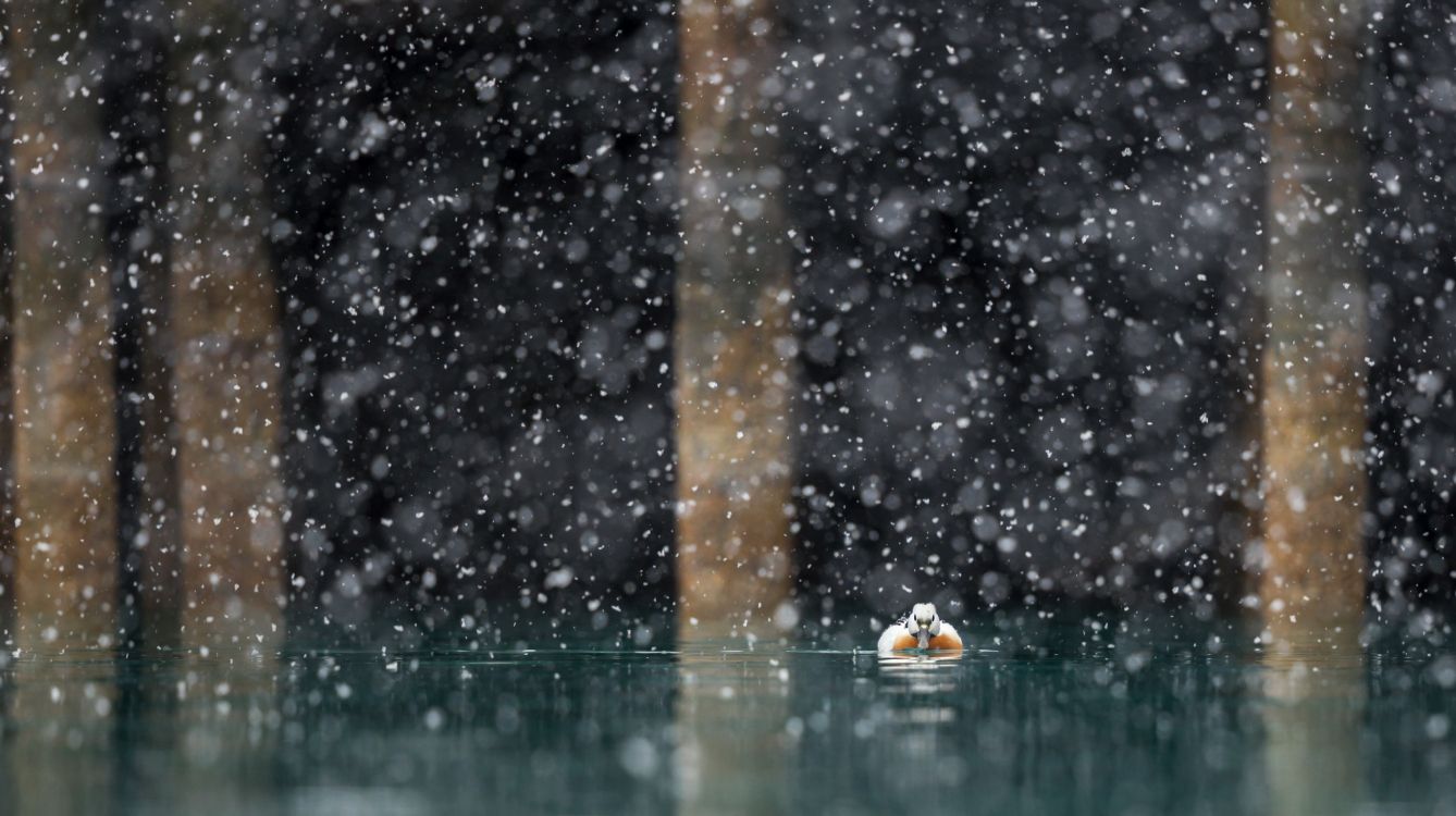 water droplets on glass window