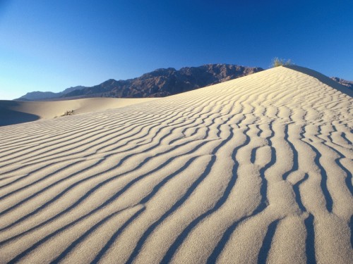 Image brown sand under blue sky during daytime