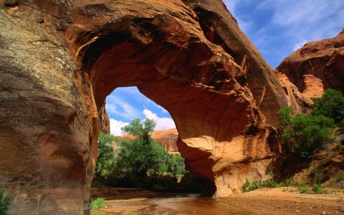 Image brown rock formation near green trees during daytime