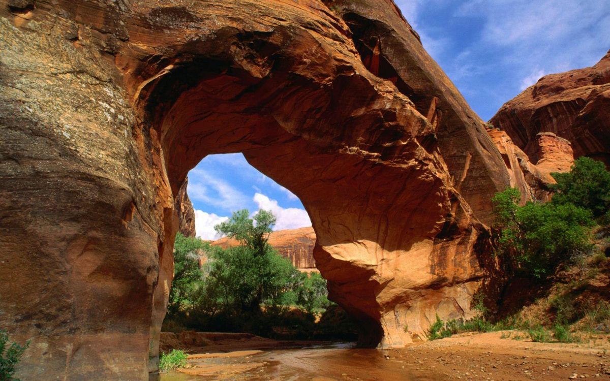 brown rock formation near green trees during daytime