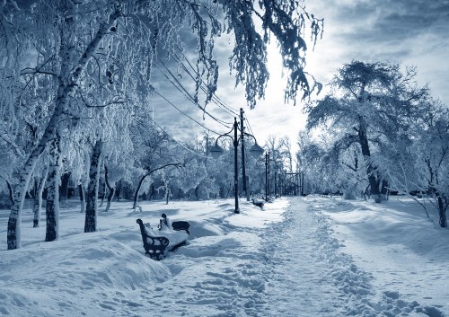 Image person riding on sled on snow covered ground during daytime