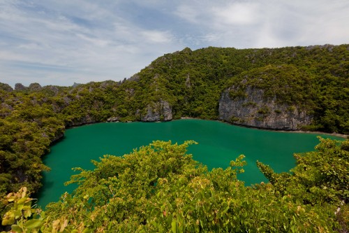 Image green trees on island during daytime