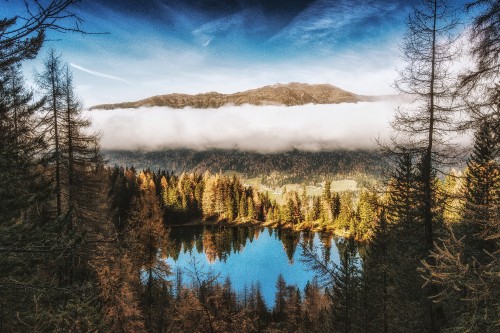 Image tree, body of water, natural landscape, nature, reflection