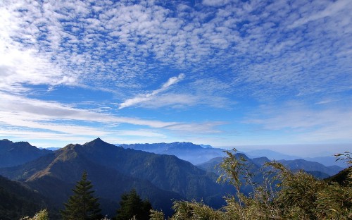 Image green trees on mountain under blue sky during daytime