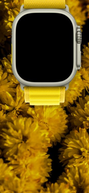 Apple Watch, Jaune, Pétale, la Floraison de la Plante, Flowerpot. Wallpaper in 856x1852 Resolution
