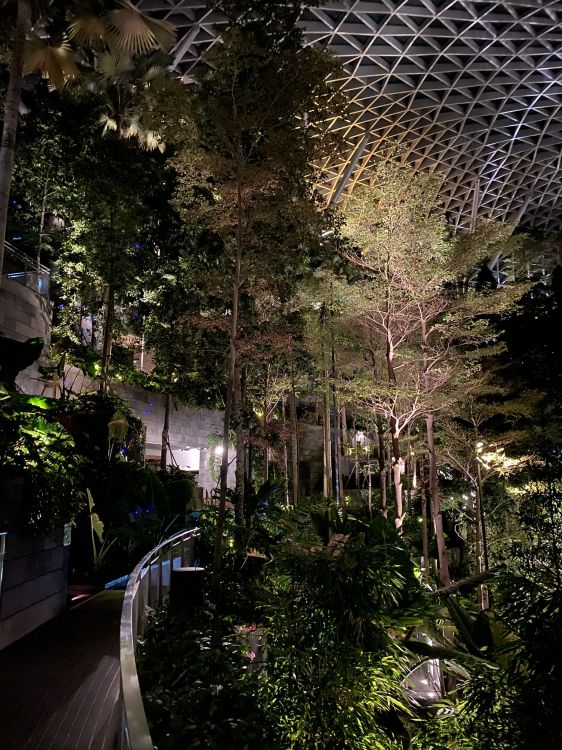 Nature, Éclairage de Paysage, Garden, Allée, Maille. Wallpaper in 1536x2048 Resolution