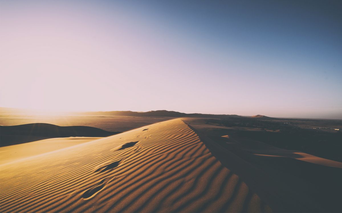 brown sand dunes during daytime